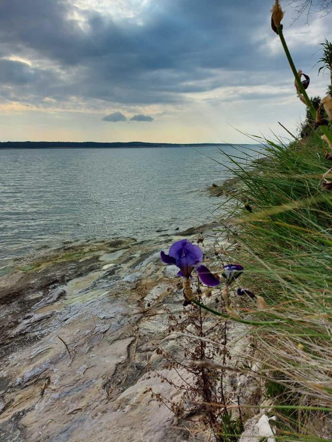 Apartmani Seaview Ljubač Dış mekan fotoğraf