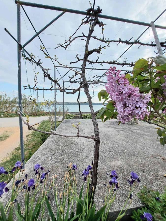 Apartmani Seaview Ljubač Dış mekan fotoğraf